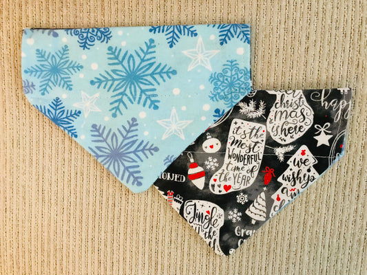 Blue Snowflakes/Winter Phrases