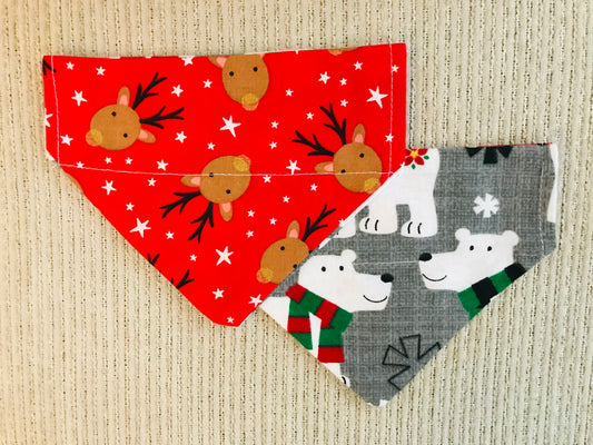 Reindeers/Polar Bears