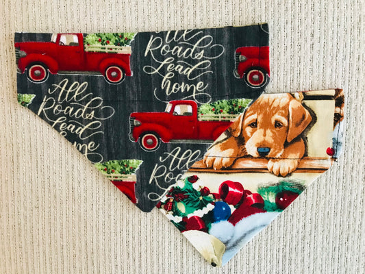 Red Truck with Christmas Tree/Christmas Dogs